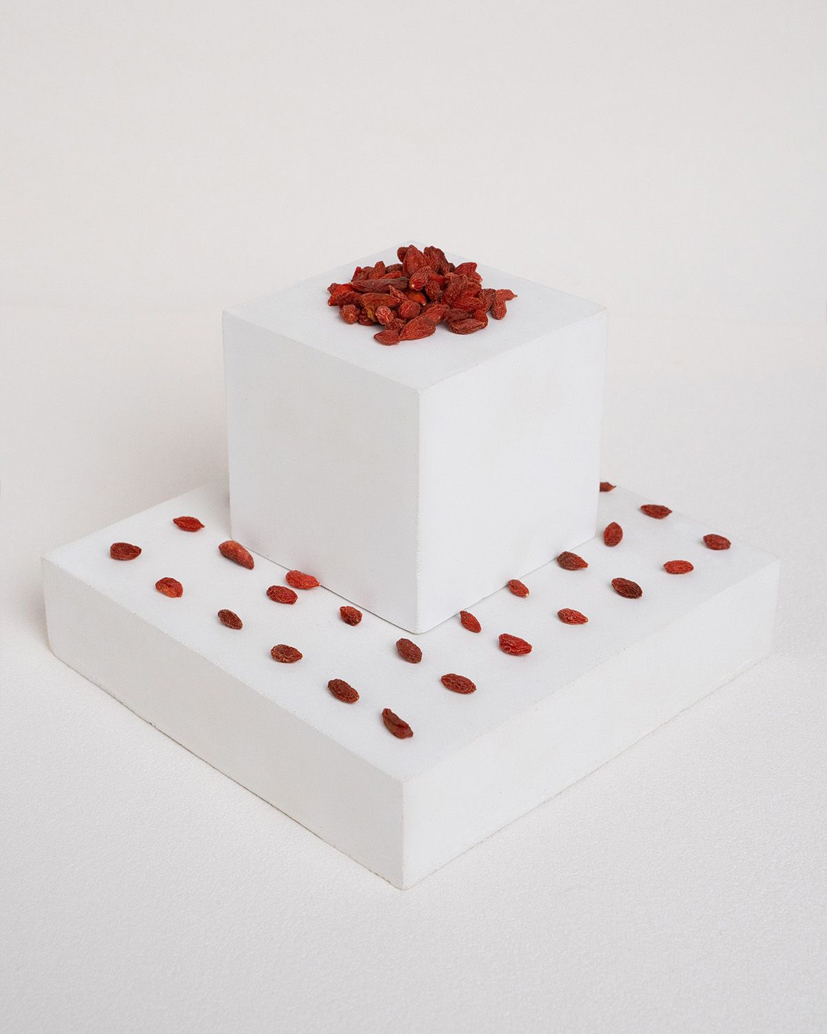 Bayas de Goji