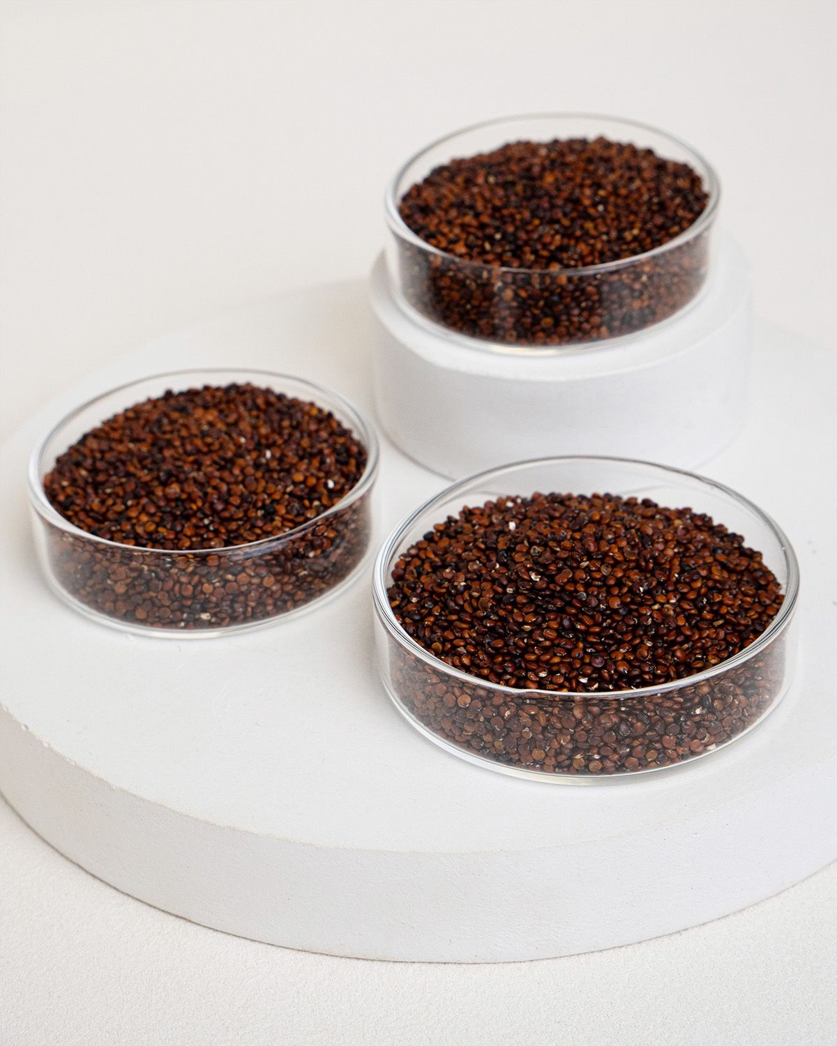 Quinoa rossa