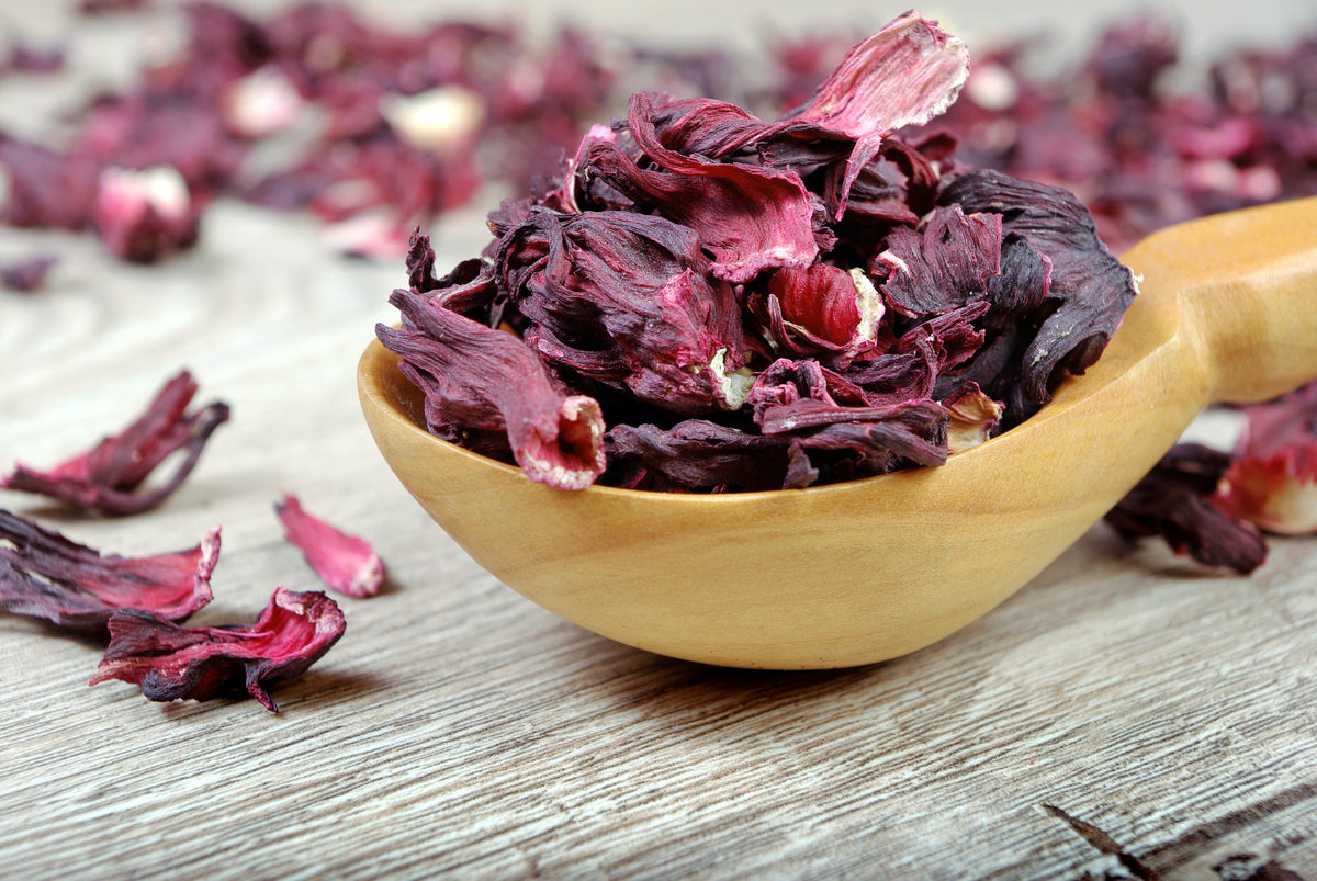 Fiori di ibisco