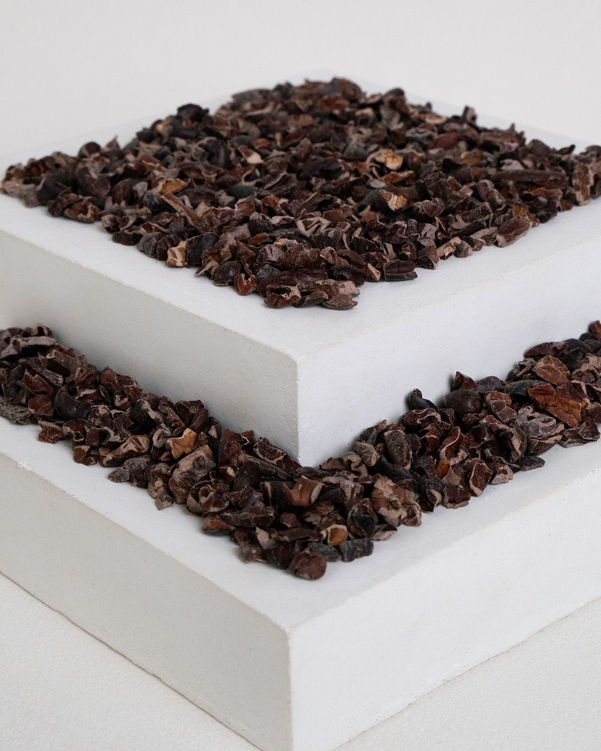 Bio-Kakao Nibs