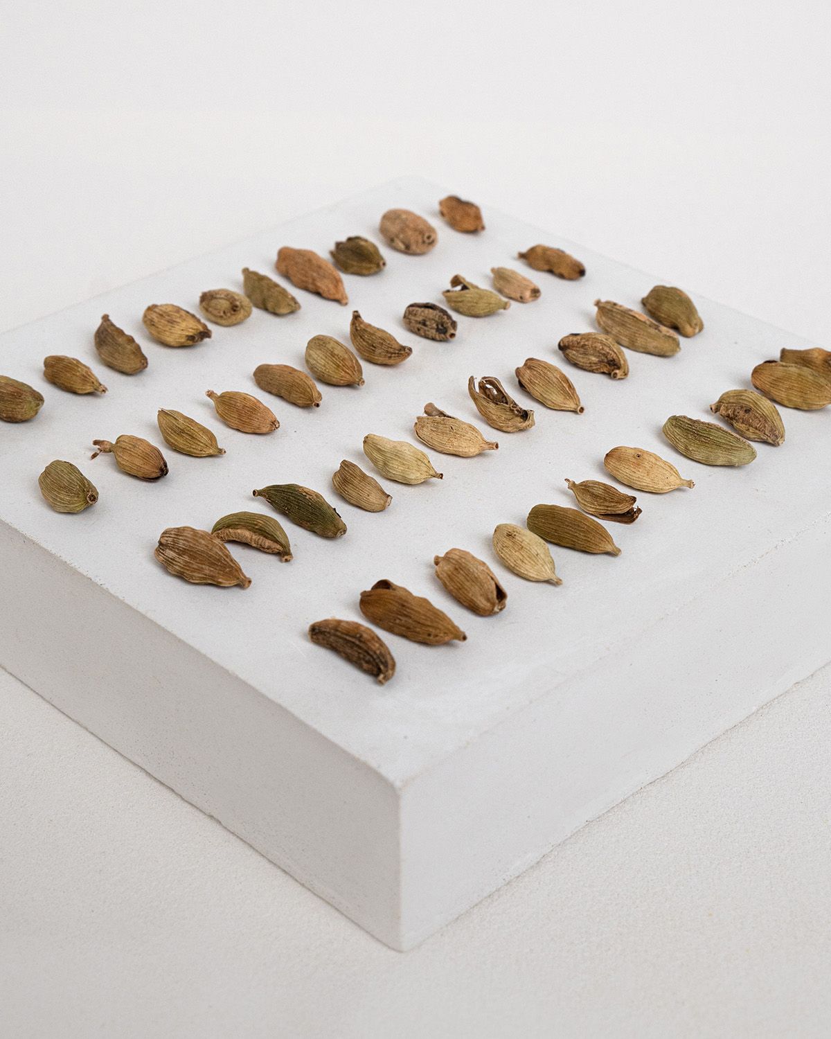 Cardamome