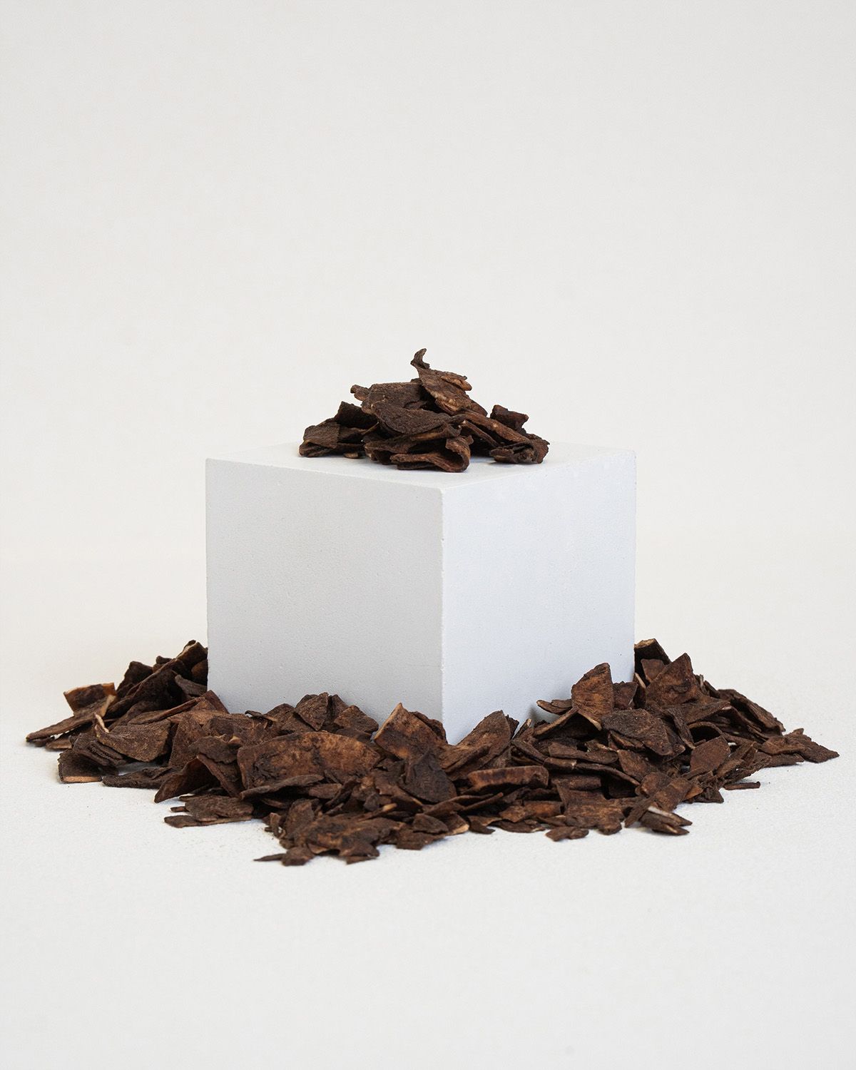 Chips de coco au cacao