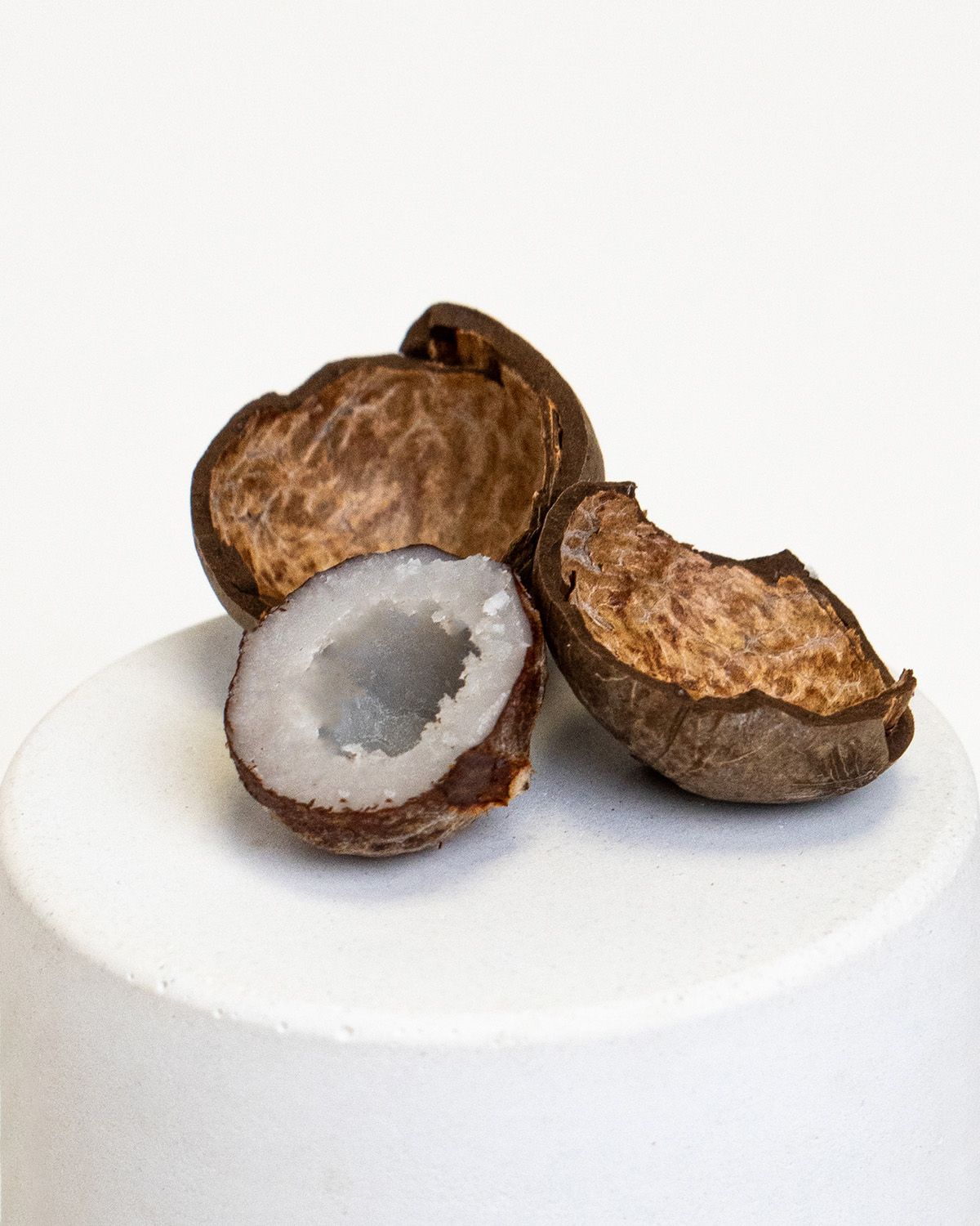 Coquitos - Mini Kokosnüsse