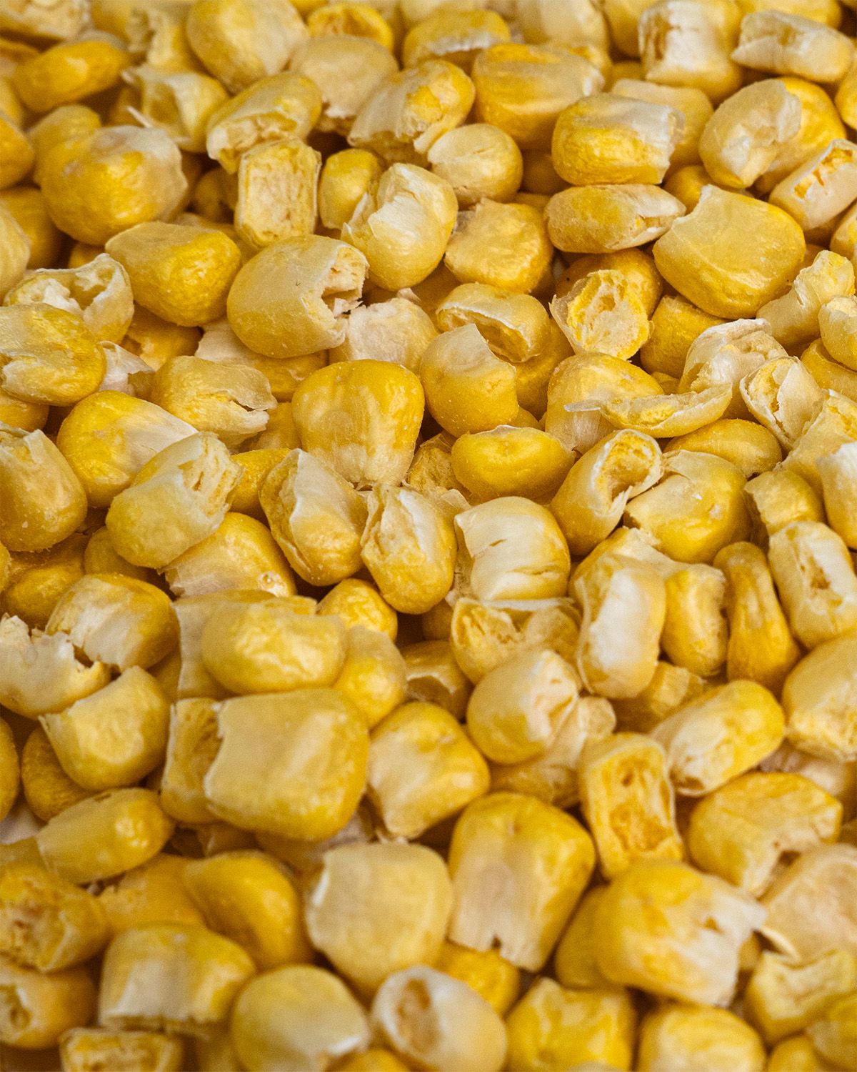 Freeze-dried corn