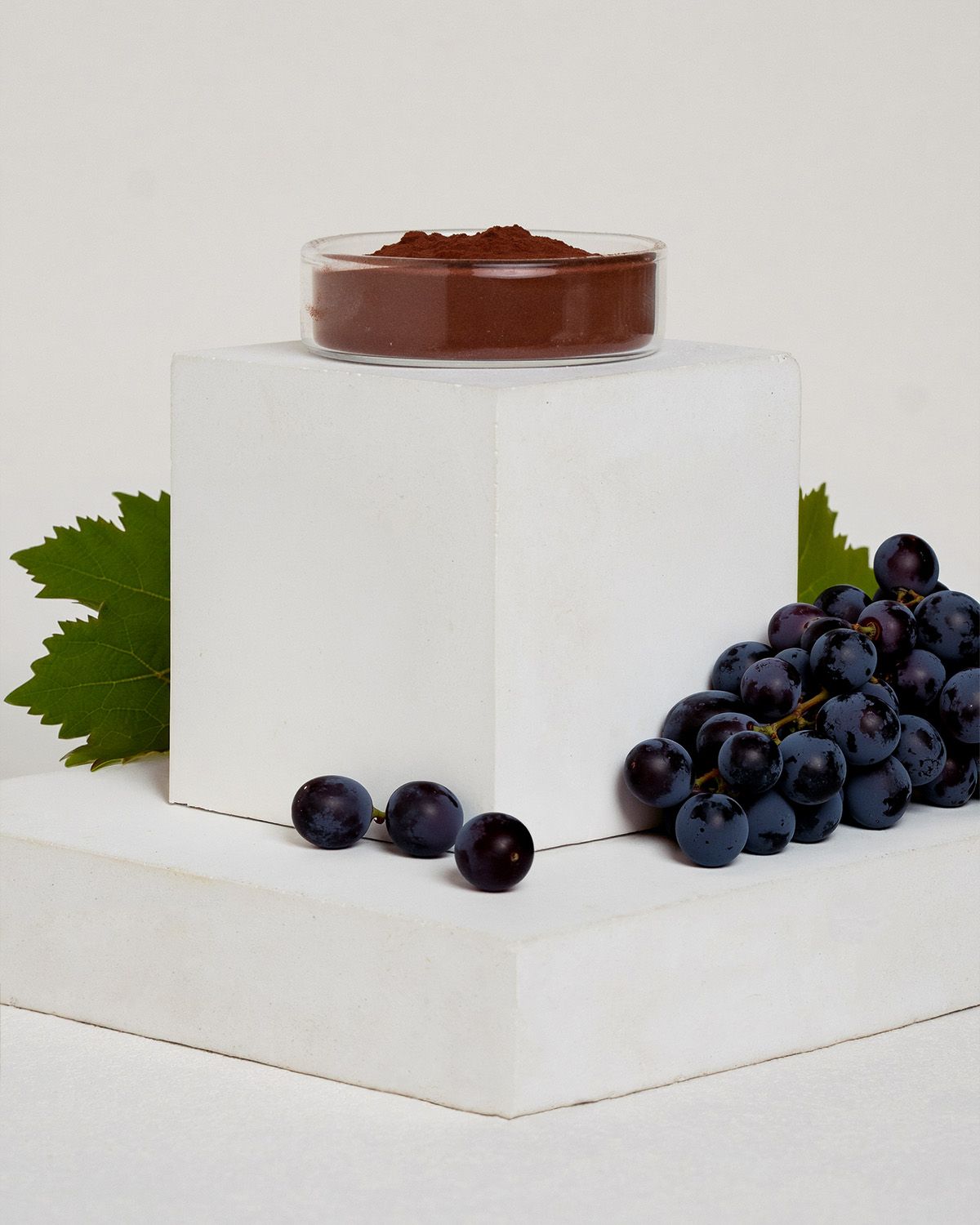 Extrait de pépins de raisin OPC