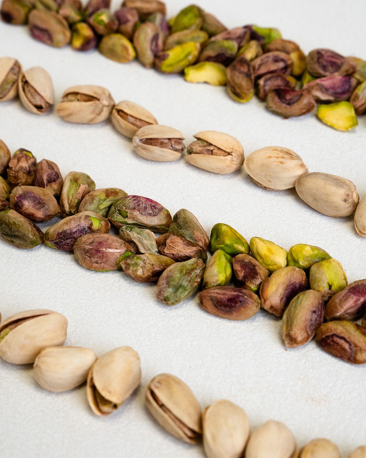 Pistachio kernels natural without shell