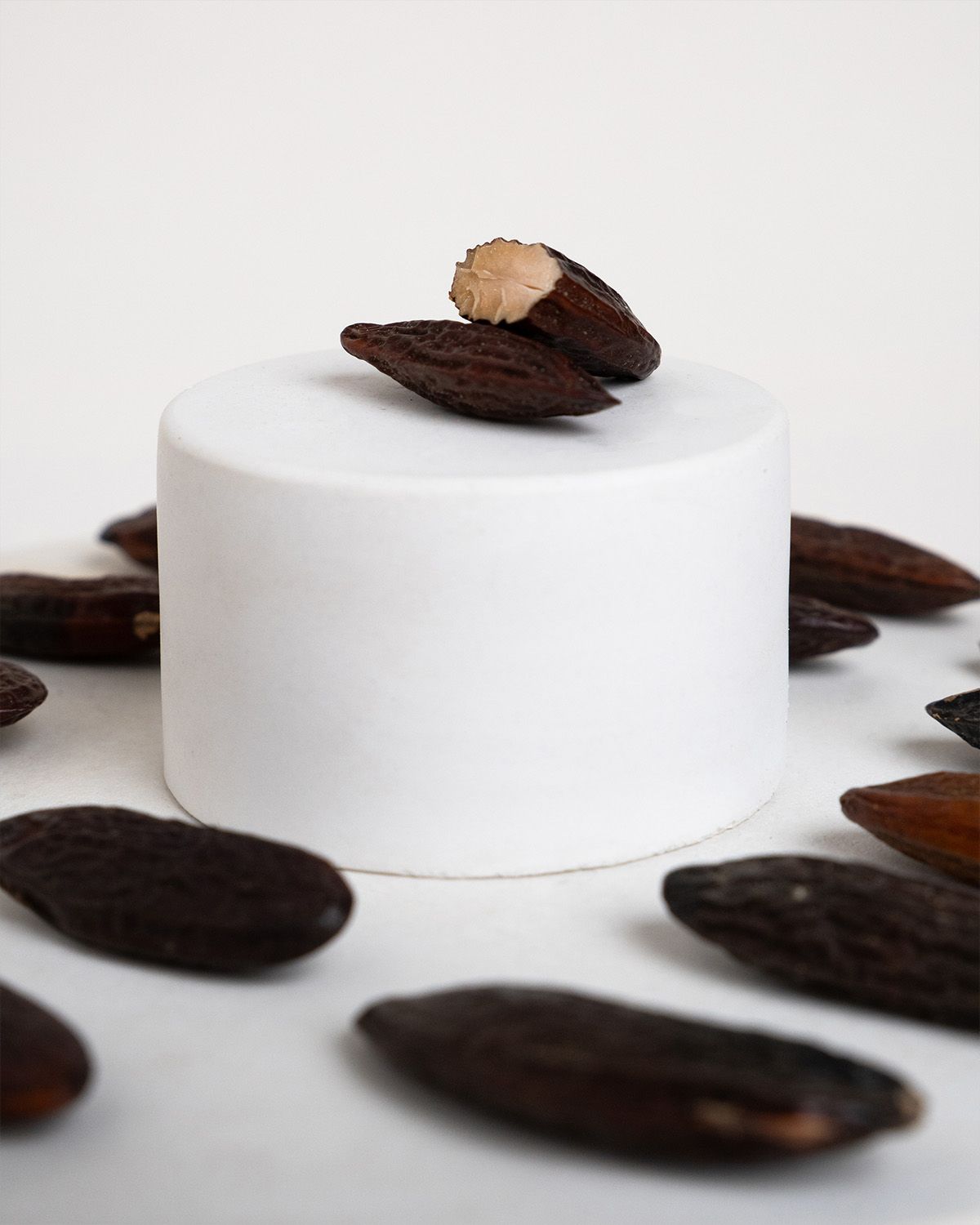 Tonka beans
