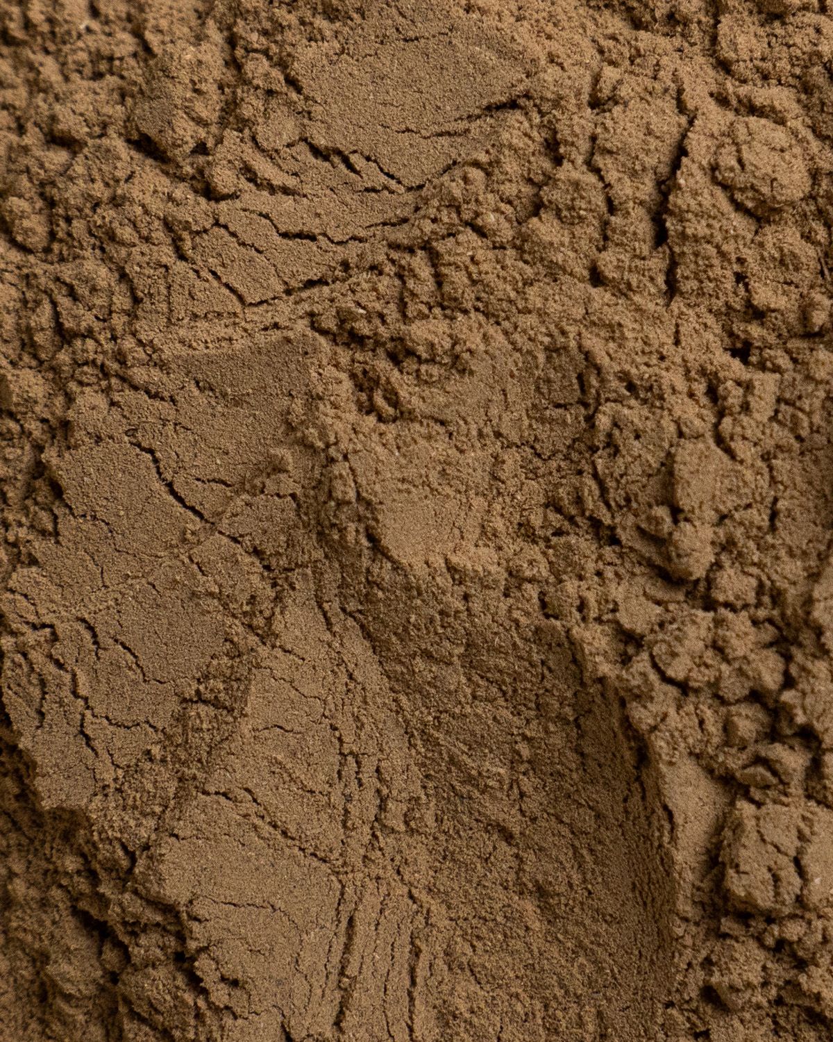 Polvo de Brahmi ecológico