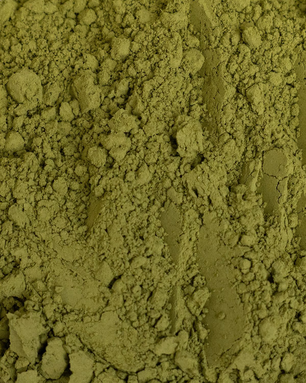 Matcha ecológico en polvo