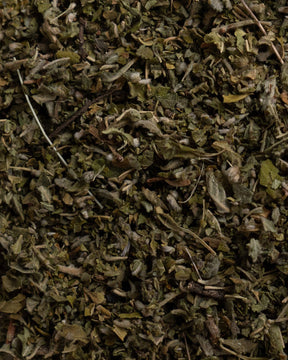 Hojas de damiana