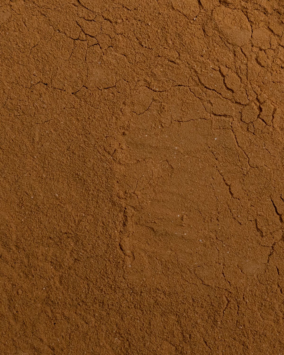 Guarana powder