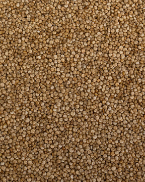 Quinoa