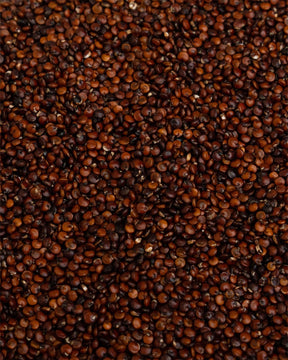 Quinoa red