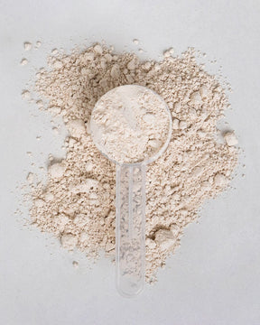 Proteína de arroz en polvo