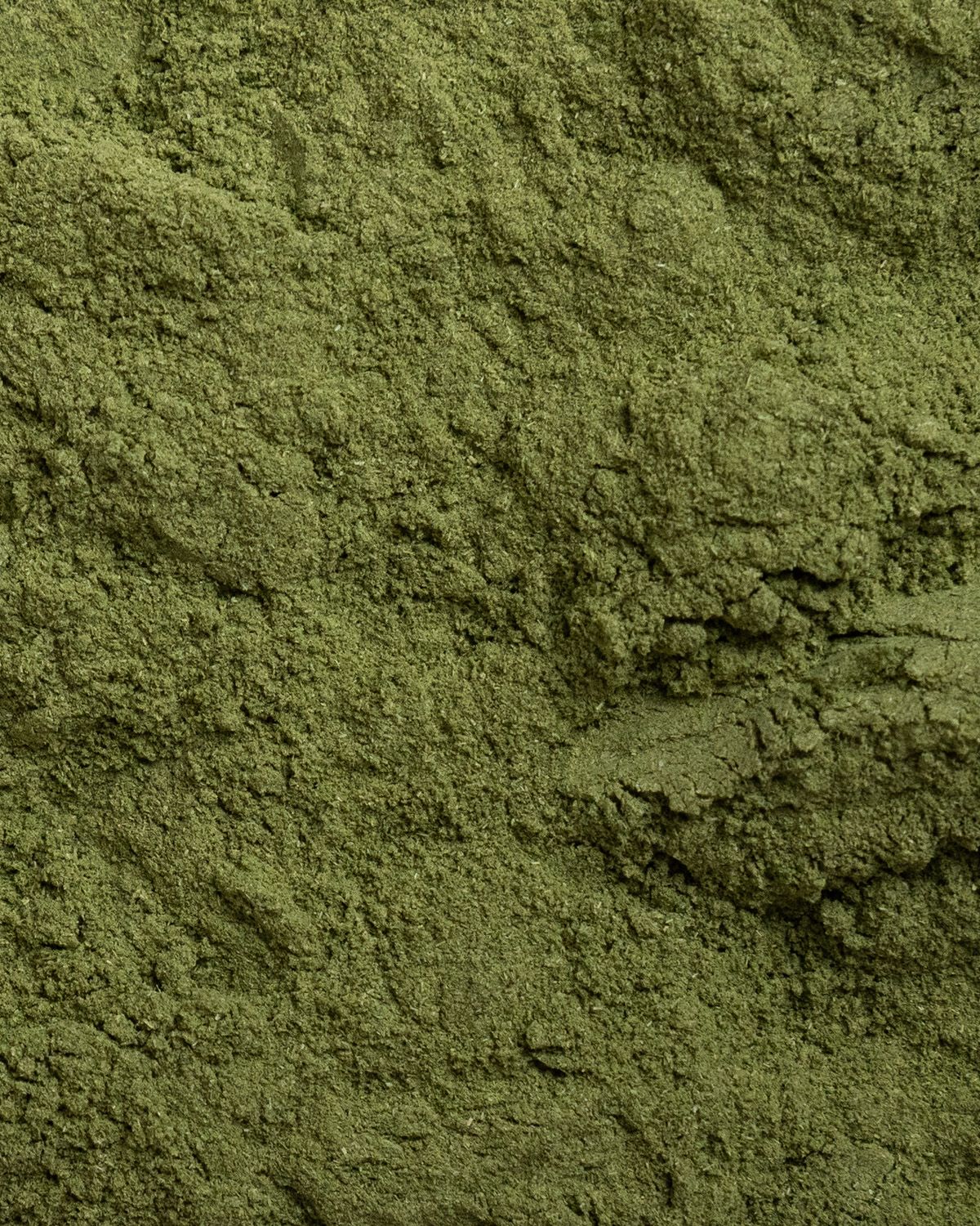 Poudre d'herbe de blé