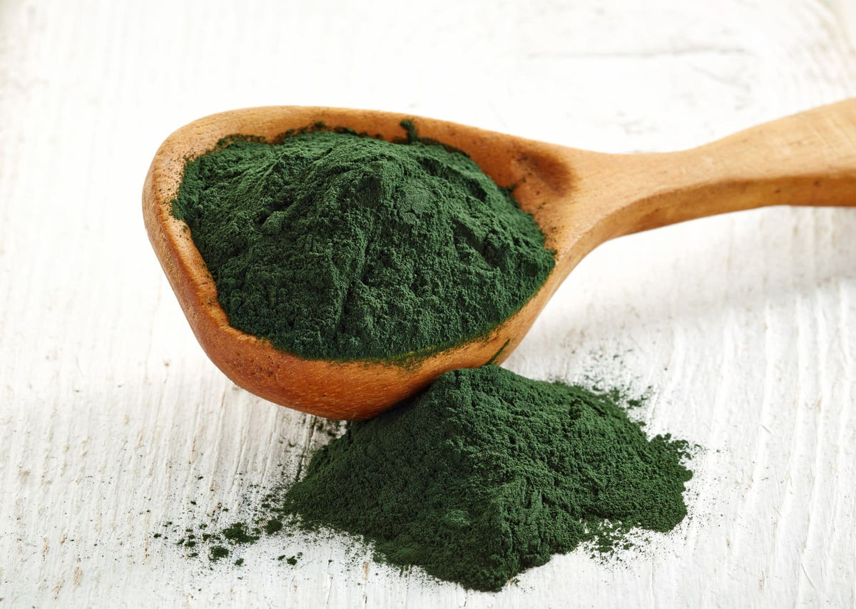 Chlorella powder