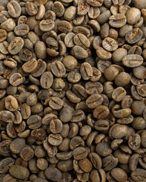 Café arábica verde