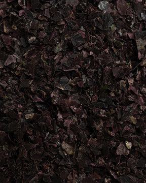 Fiocchi di dulse biologica
