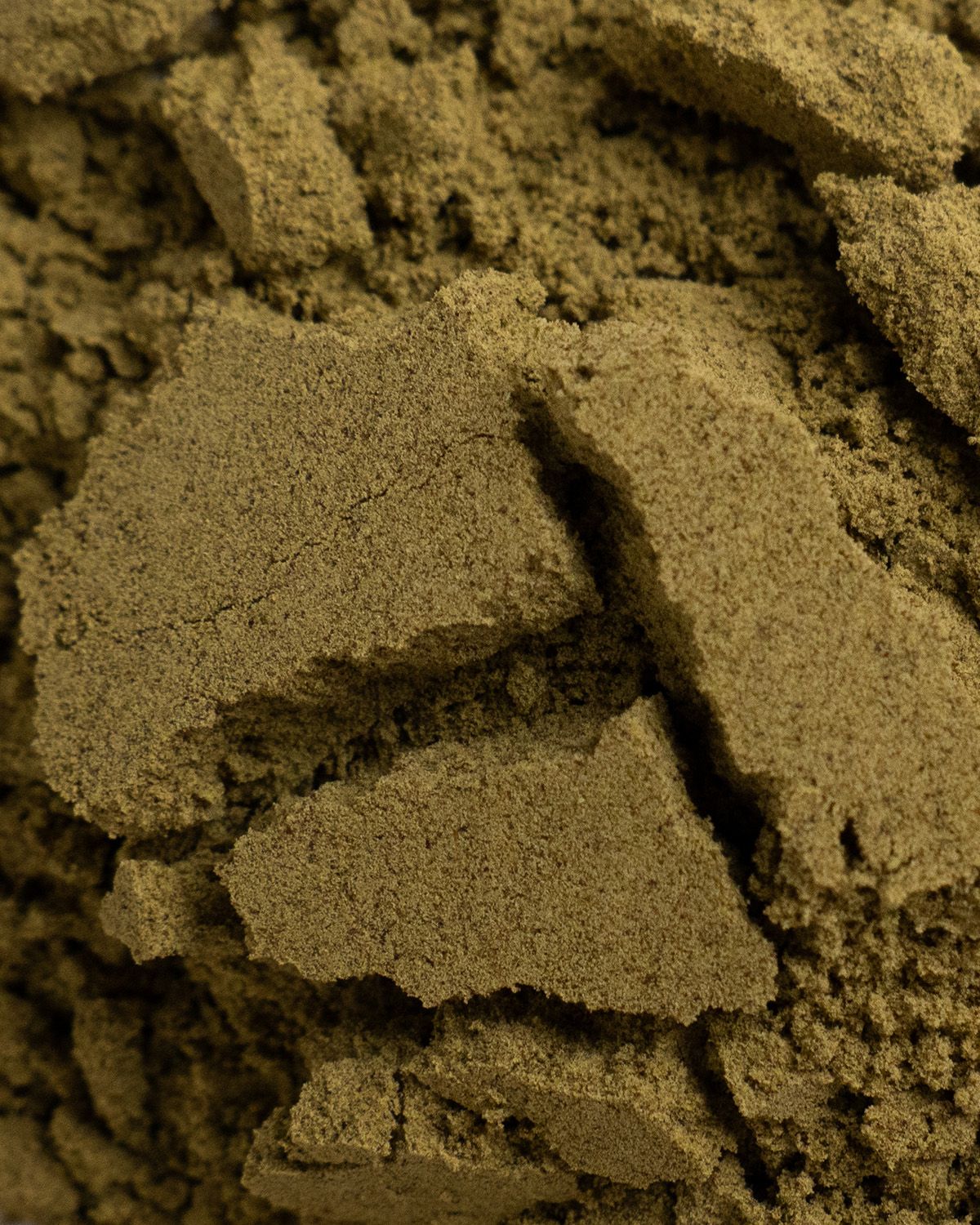 Bio Hanfprotein Pulver