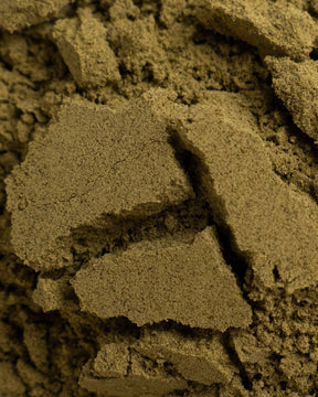 Bio Hanfprotein Pulver