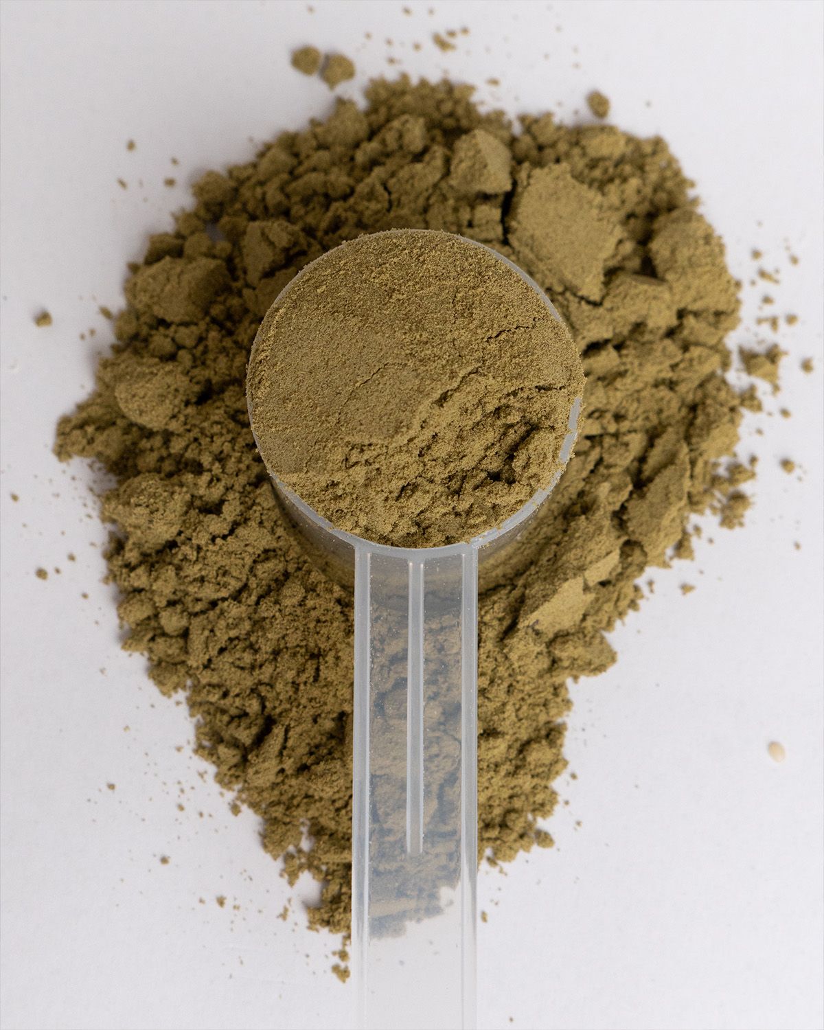 Bio Hanfprotein Pulver