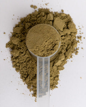 Bio Hanfprotein Pulver