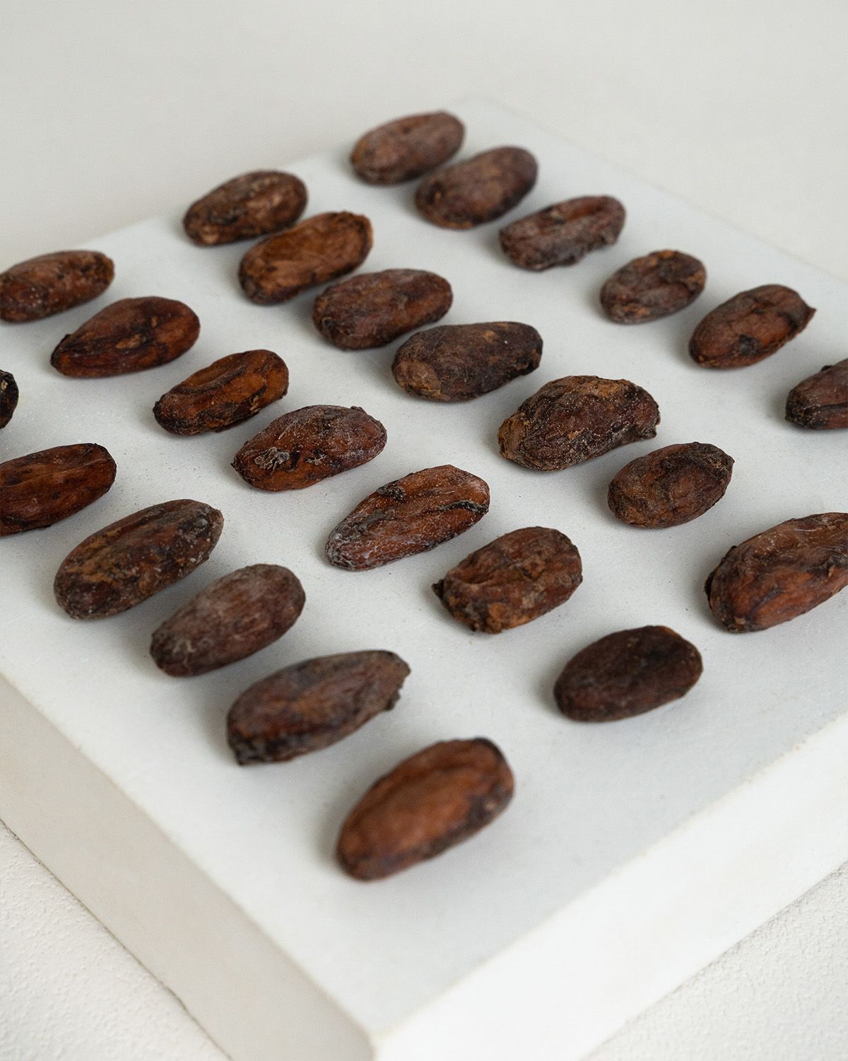 Fèves de cacao crues bio
