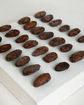 Fave di cacao crude biologiche