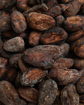 Fave di cacao crude biologiche