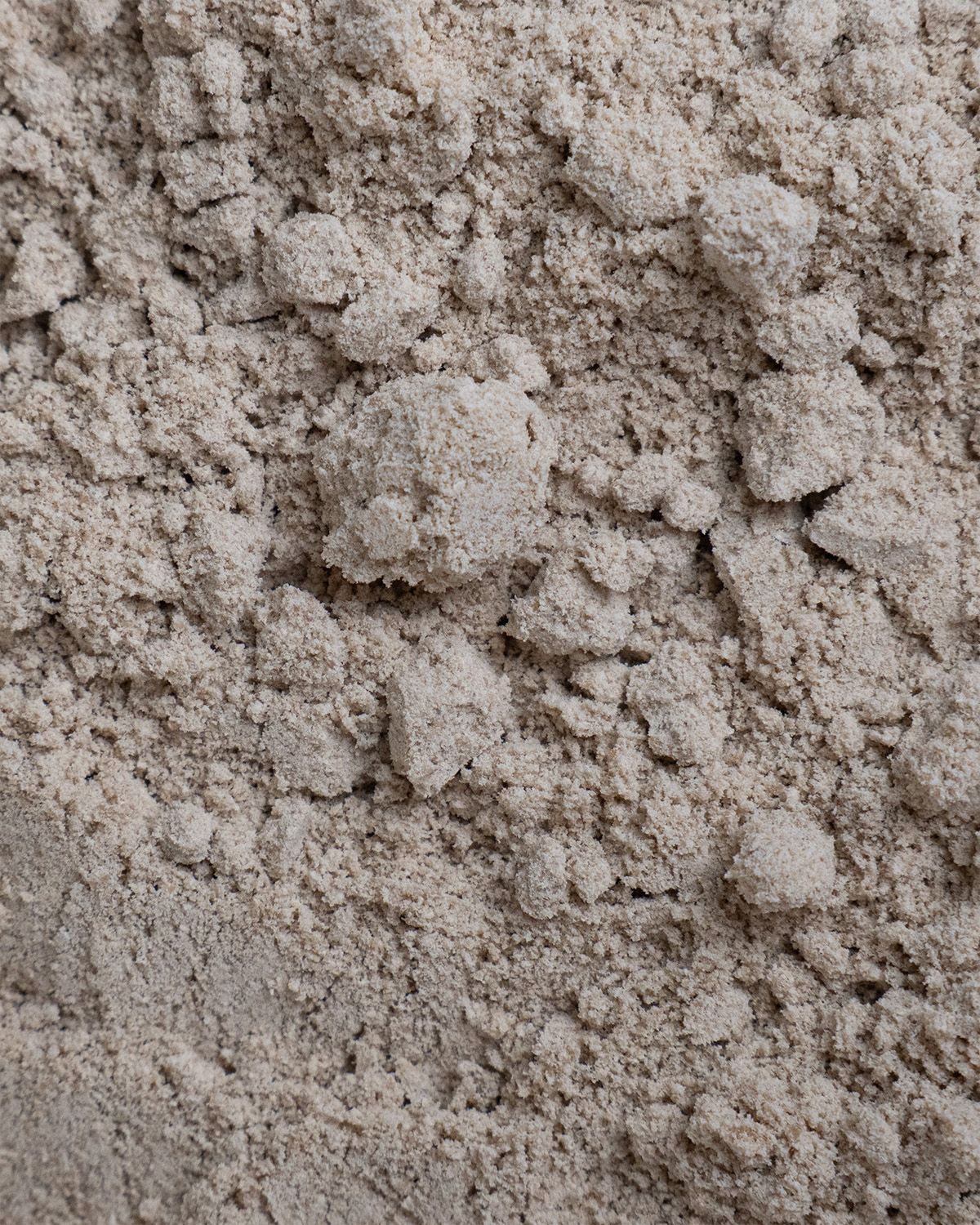 Bio Sonnenblumenprotein