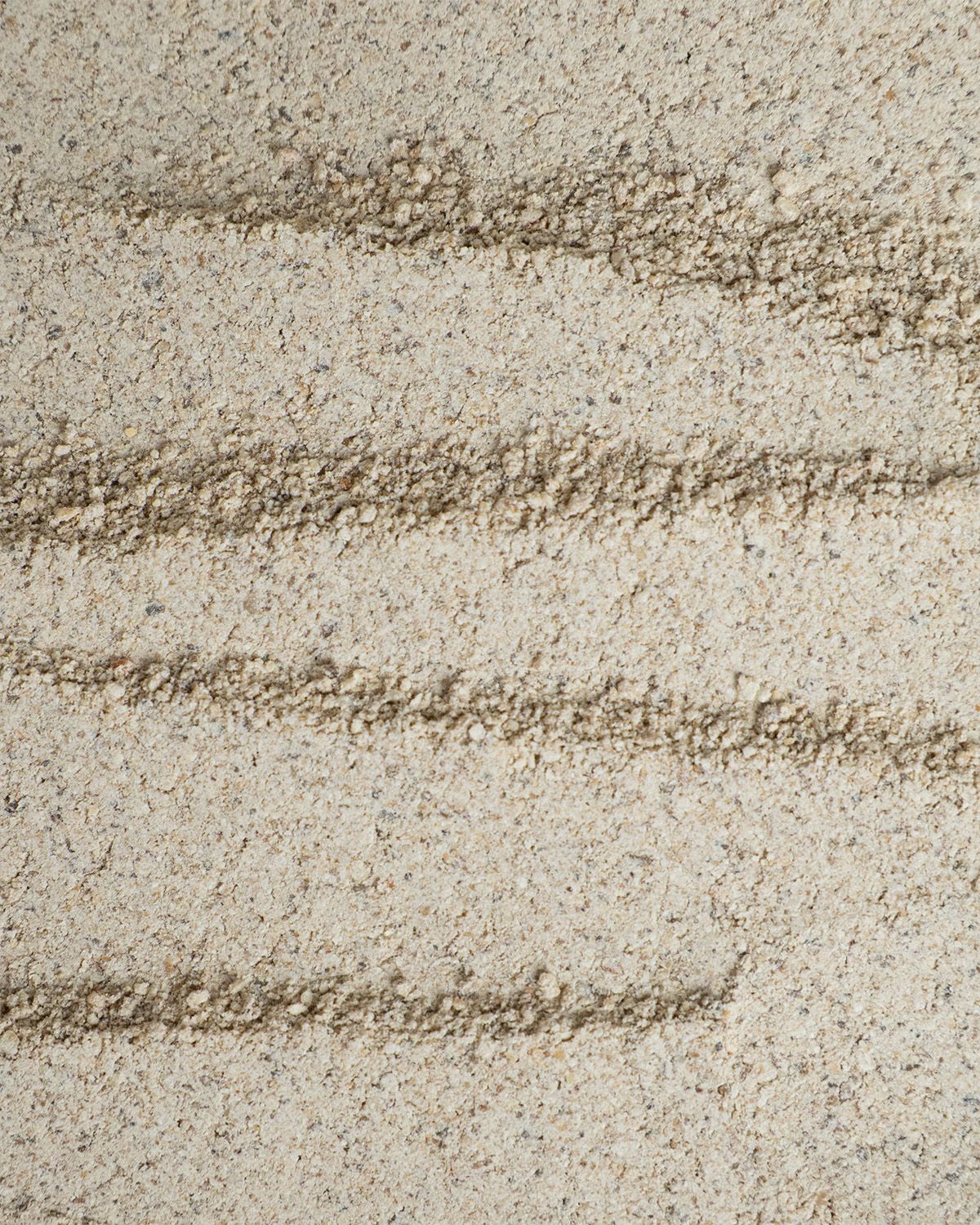 Polvere di topinambur biologica