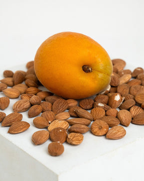 Noyaux d'abricots amers (semences)