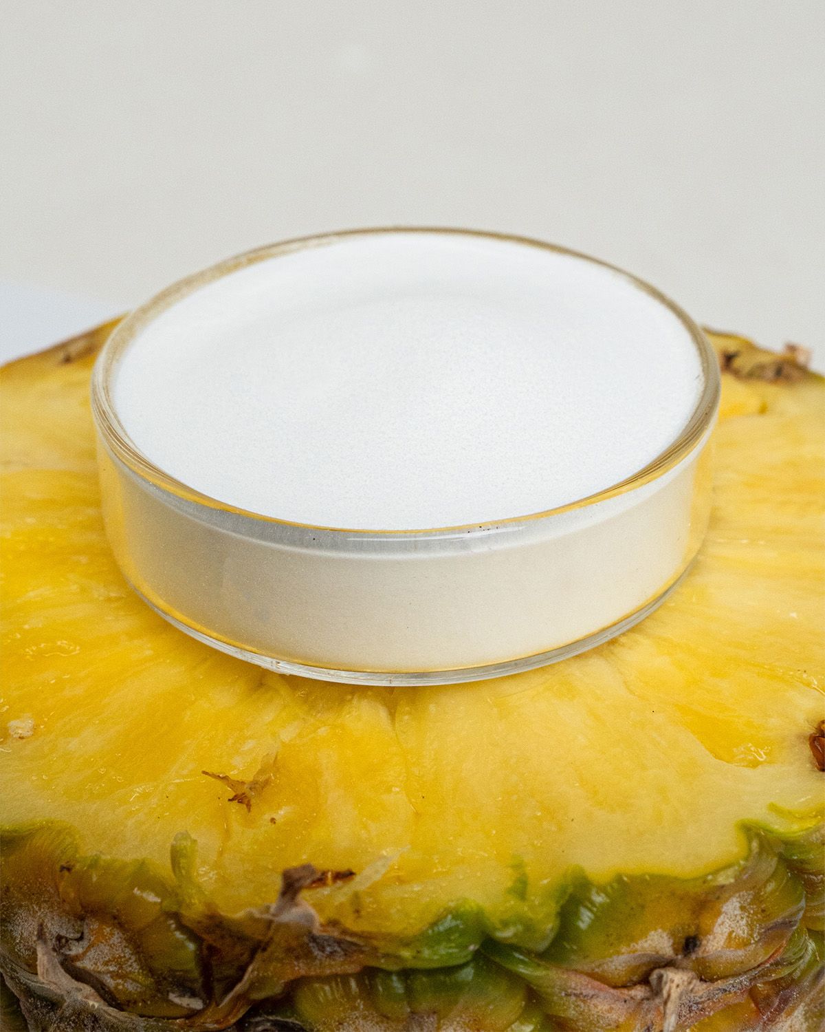 Bromelain Pulver