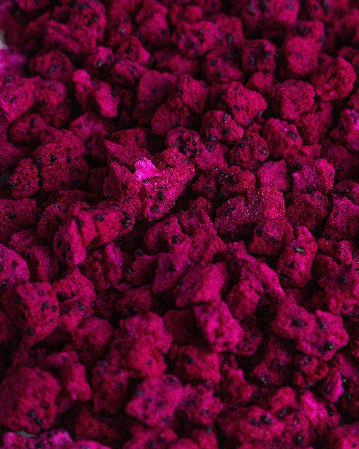 Fruta del dragón liofilizada