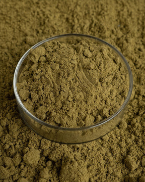 Proteína de cáñamo en polvo