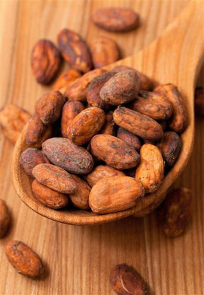Raw organic cocoa beans