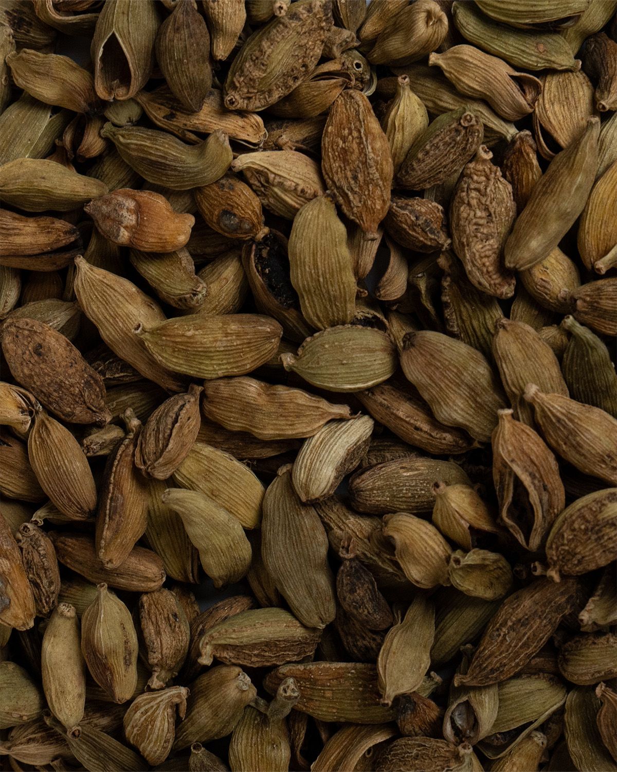 Cardamomo