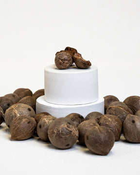 Coquitos - Mini Kokosnüsse