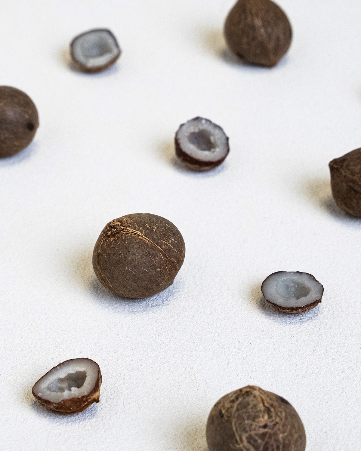 Coquitos - Mini Kokosnüsse