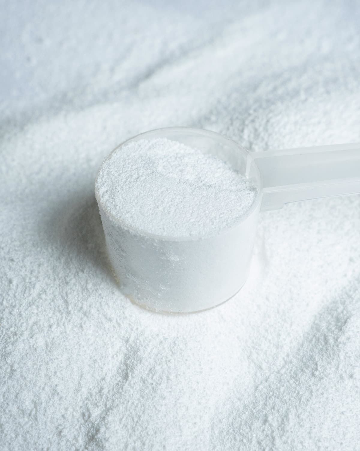 L-Arginin Base Pulver