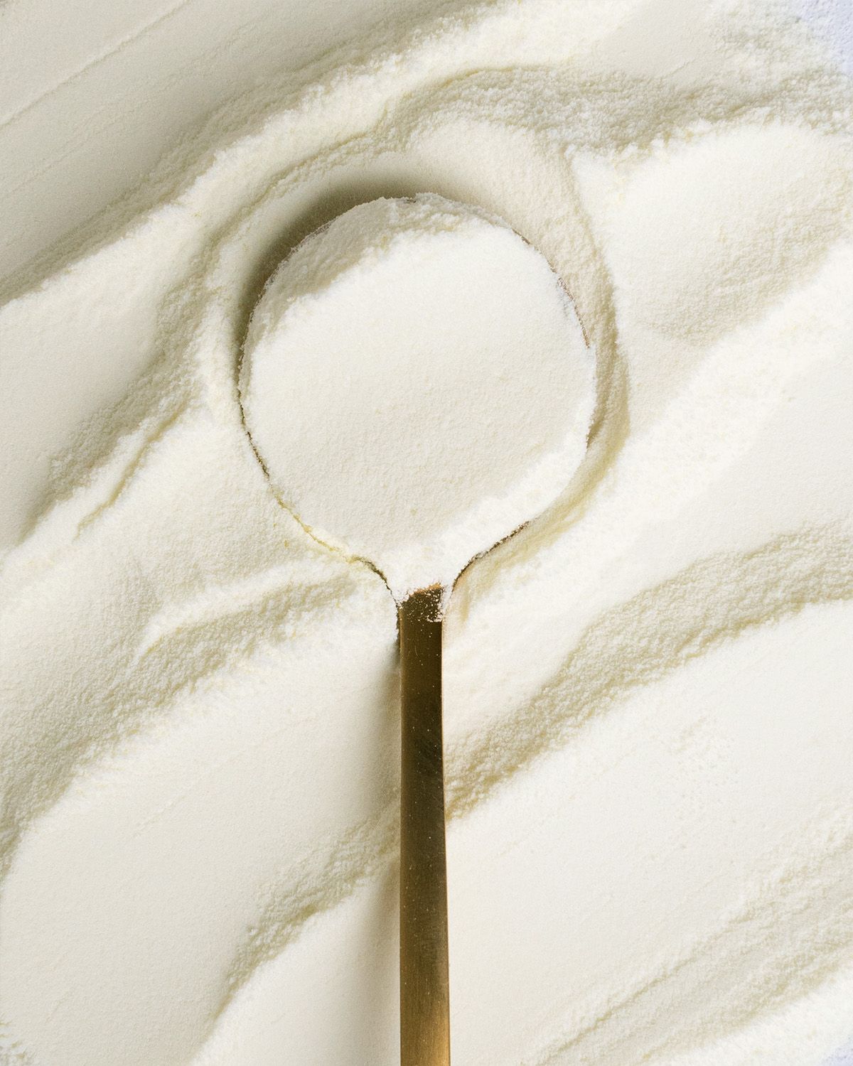 Leche desnatada en polvo