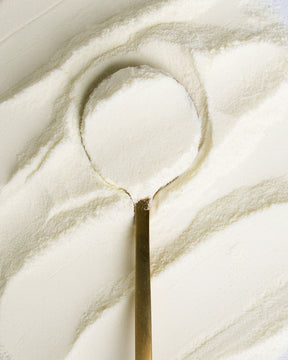 Leche desnatada en polvo