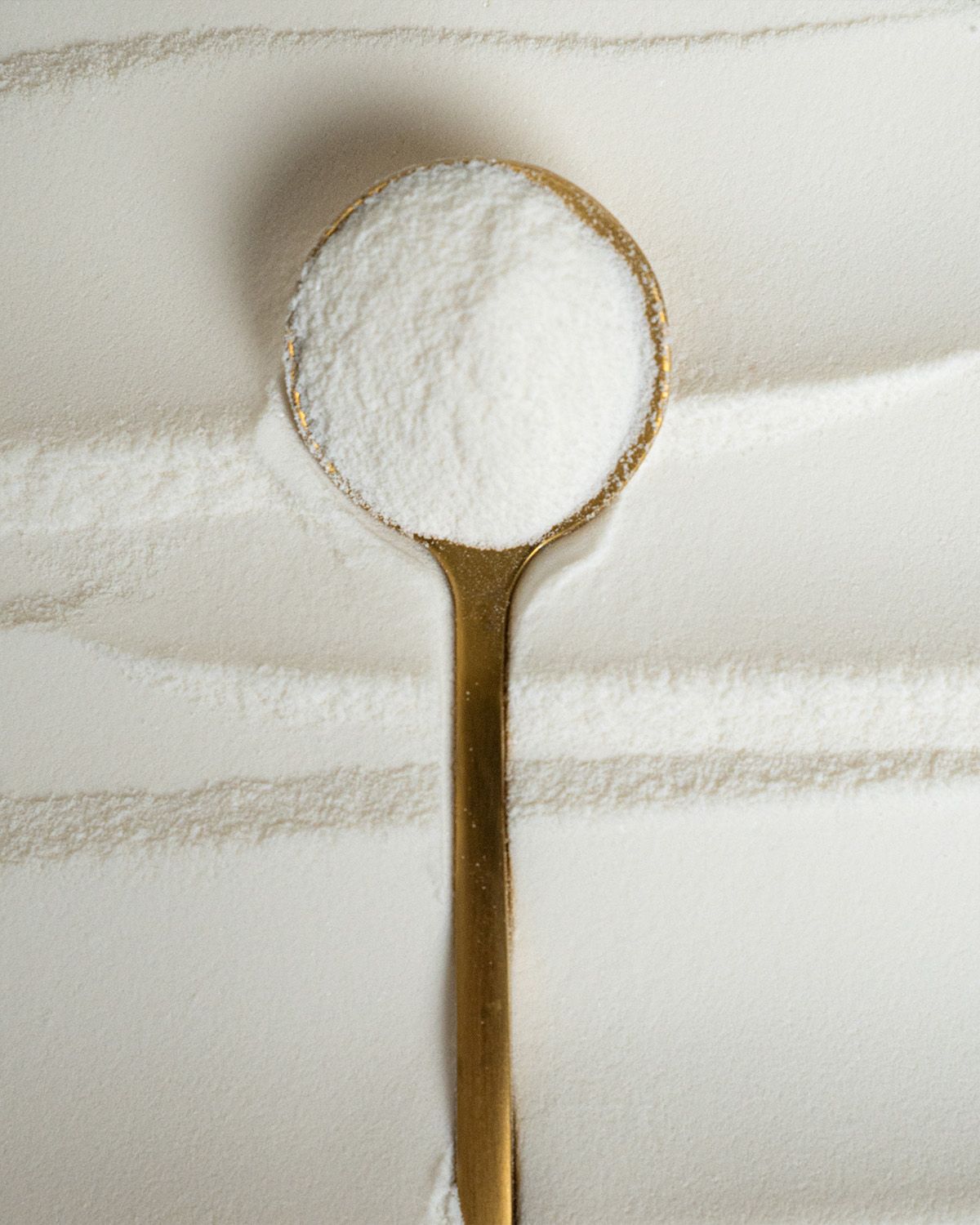 MCT oil powder
