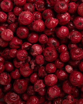 Gefriergetrocknete rote Johannisbeeren