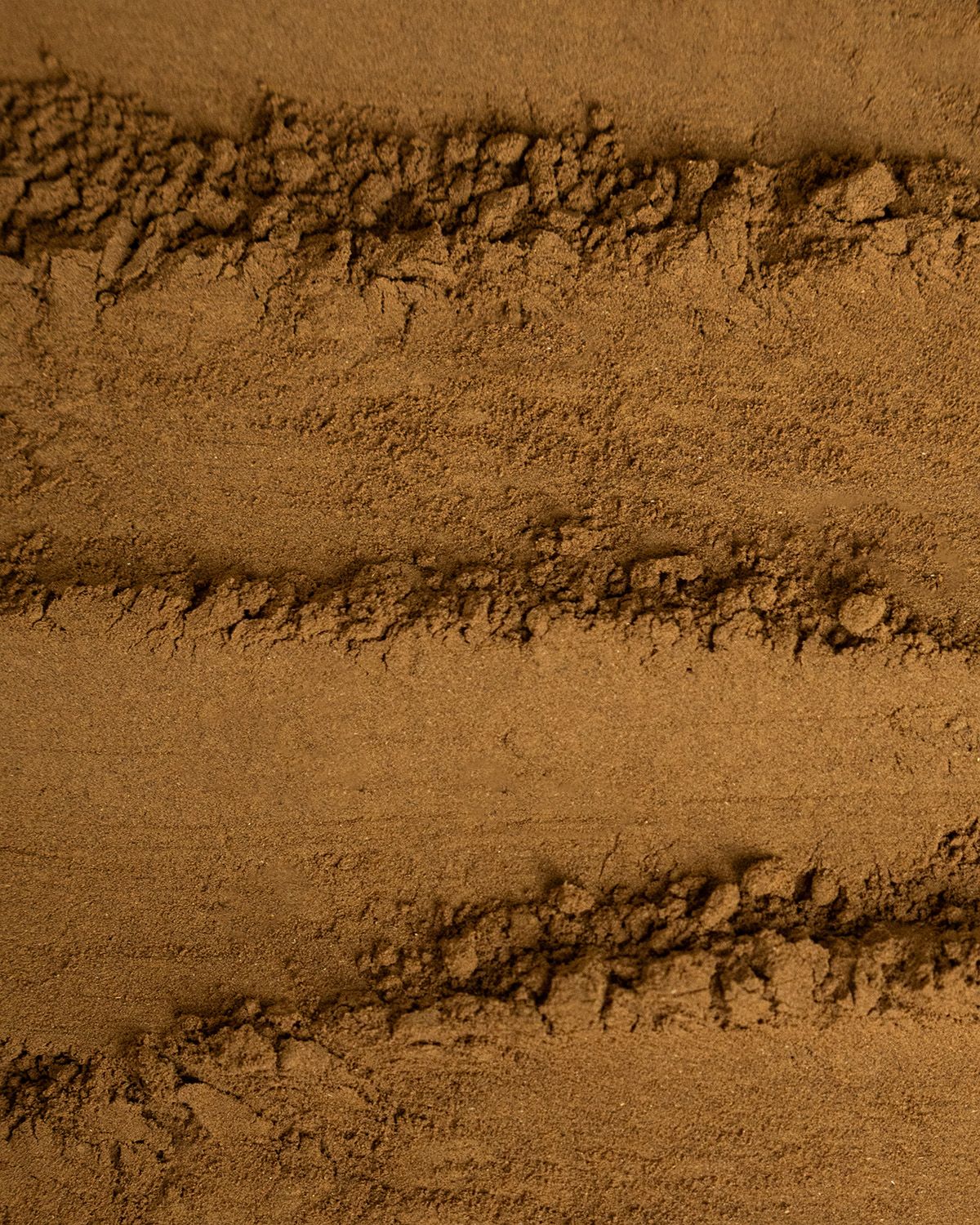 Sea Costus Pulver