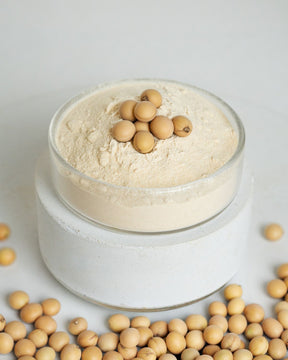 Soja Lecithin Pulver