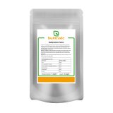 Hanfprotein Pulver  500g